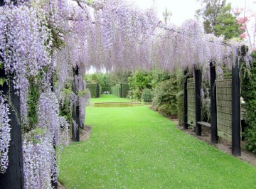 A hidden gem located just 15 minutes out of Christchurch. This gorgeous venue has 3.5acres of established gardens and perfect for a marquee event. 